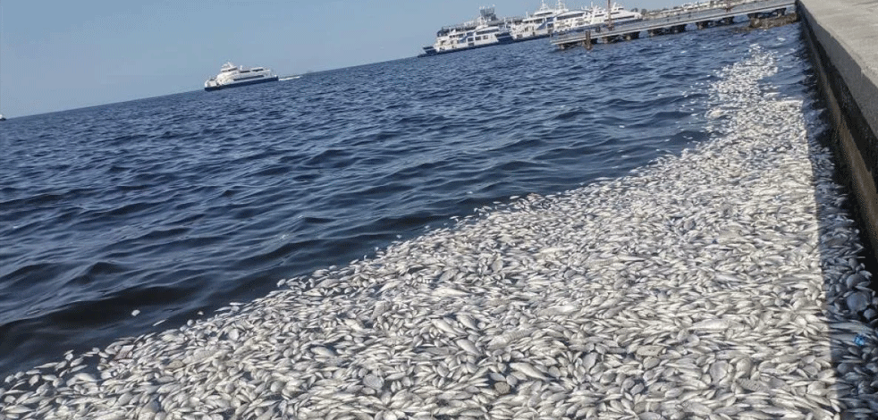 "CHP ne iş yapar" diye soran İzmirli yok mu? Belediye yatsın bakanlık yapsın