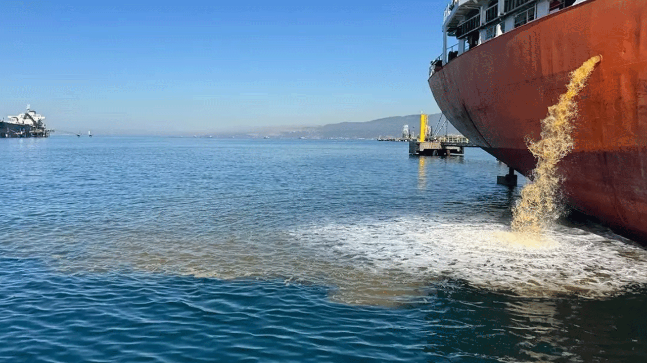 İzmit Körfezini kirleten gemilere suçüstü!