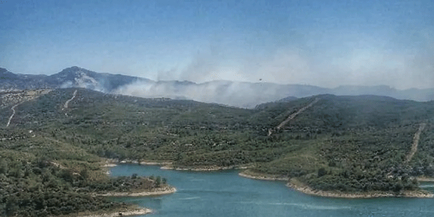 İzmir Seferihisar'da orman yangını
