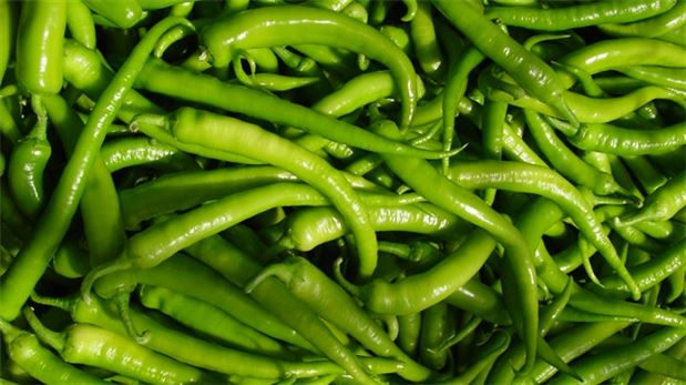 İzmir Ticaret Odası'ndan Rusya'ya biber ayarı