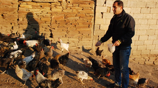 İzmir'de 10 liralık yumurtalarla servet kazandı