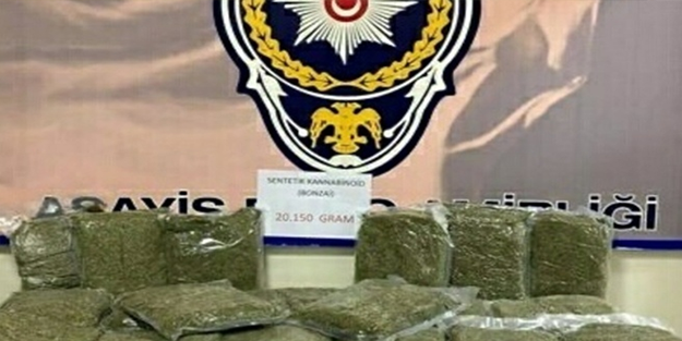 İzmir'de 20 kilogram bonzai ele geçirildi