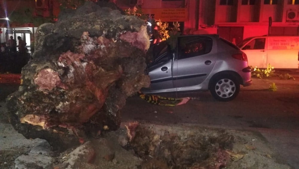 İzmir’de 3 otomobilin üzerine ağaç devrildi 