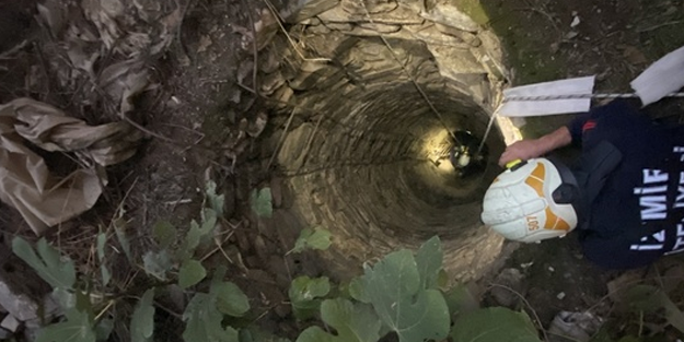 İzmir'de 42 metrelik su kuyusuna düşen köpeği...