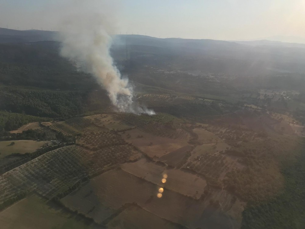 İzmir’de bir orman yangını daha 
