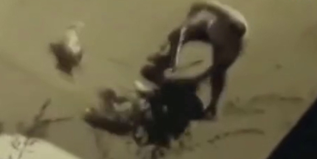 Köpeği boruyla acımasızca dövdü!