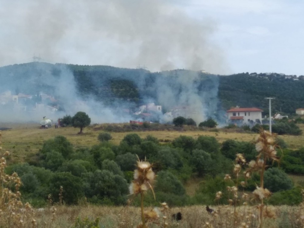 İzmir’de çalılık alanda yangın 