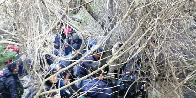 İzmir'de çok sayıda düzensiz göçmen yakalandı