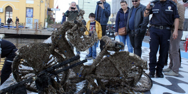İzmir'de denizin dibinden çıkanlar şaşırttı