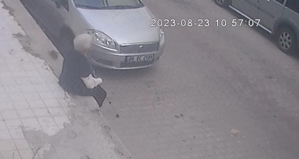 İzmir'de fare dehşet saçtı