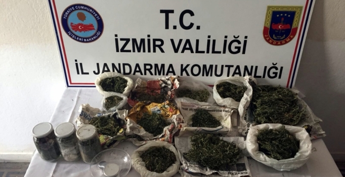 İzmir'de Hint kenevirlerini sularken suçüstü yakalandı