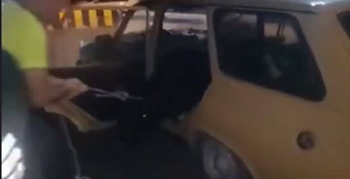 İzmir'de hırsızlar 400 kiloluk danayı otomobile sığdırdı