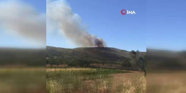 İzmir'de iki ayrı bölgede korkutan yangın! Ekipler müdahale ediyor