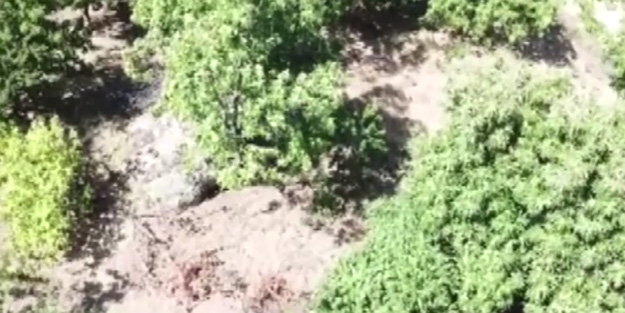 İzmir’de jandarmadan drone destekli operasyon