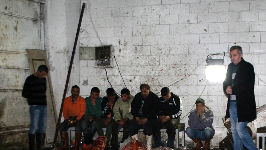 İzmir'de kaçak at kesimi yapan 8 kişi gözaltına alındı