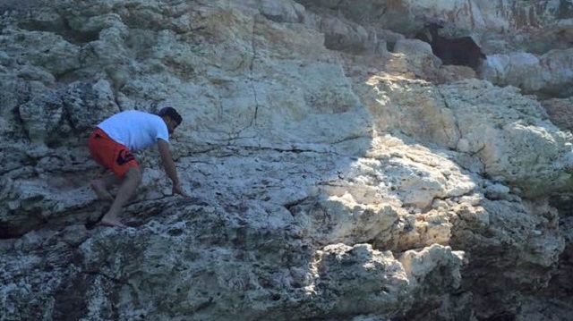 İzmir'de keçi kurtarma seferberliği