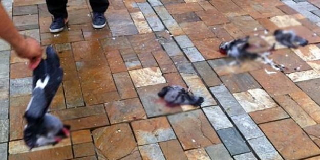 İzmir'de kızdıran olay!