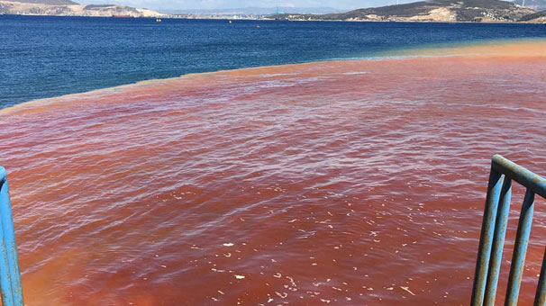 İzmir'de korkutan görüntü!