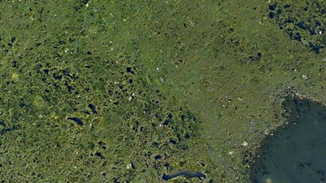 İzmir’de korkutan görüntü! Kendini yenilemesi artık mümkün değil!