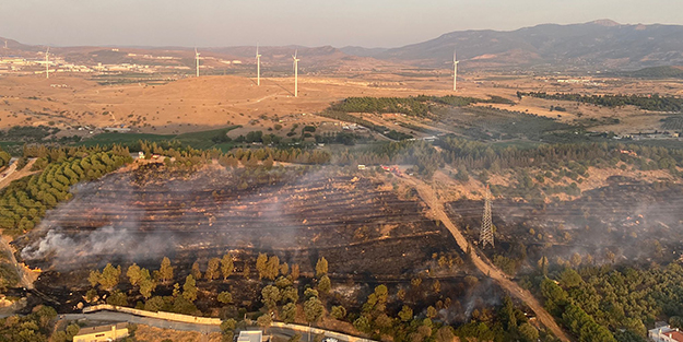 İzmir'de korkutan orman yangını