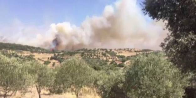 İzmir'de korkutan yangın! Çok sayıda ekip sevk edildi