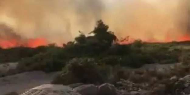İzmir'de korkutan yangın