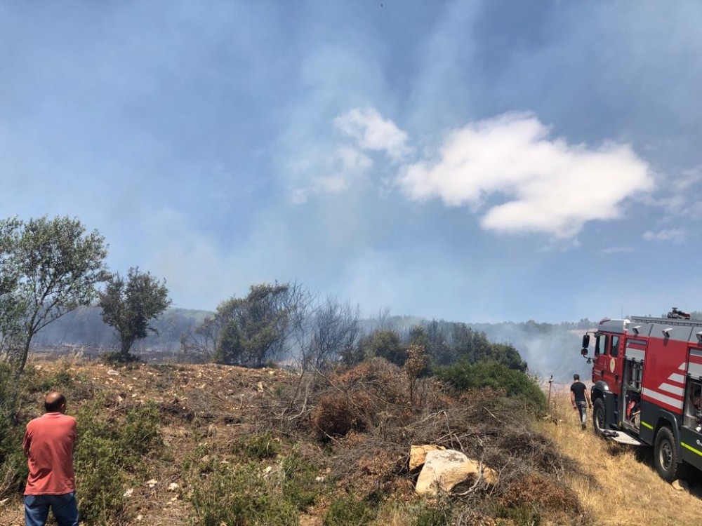 İzmir’de makilik alanda korkutan yangın 