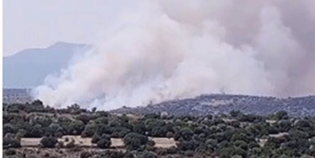 İzmir'de makilik alanda yangın