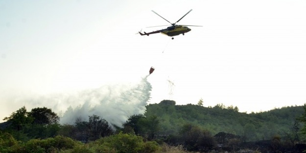 İzmir'de orman yangını: 2 uçak ve 2 helikopter havalandı
