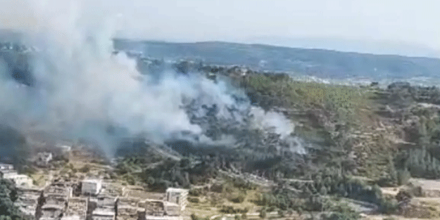 İzmir'de orman yangını! Çok sayıda ekip sevk edildi