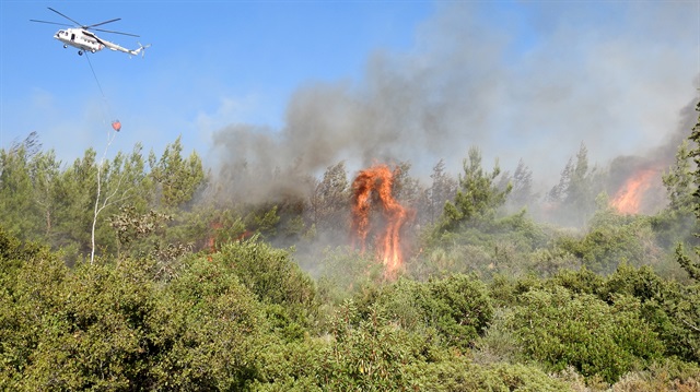İzmir'de orman yangını