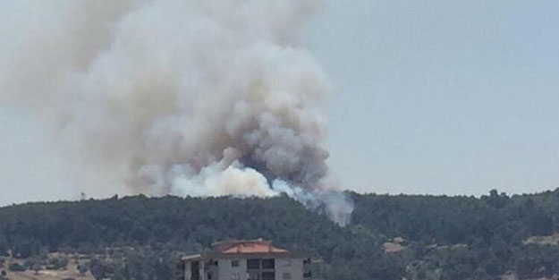 İzmir'de orman yangını
