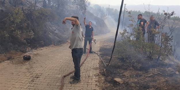 İzmir'de orman yangını