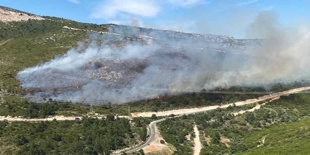 İzmir'de orman yangını