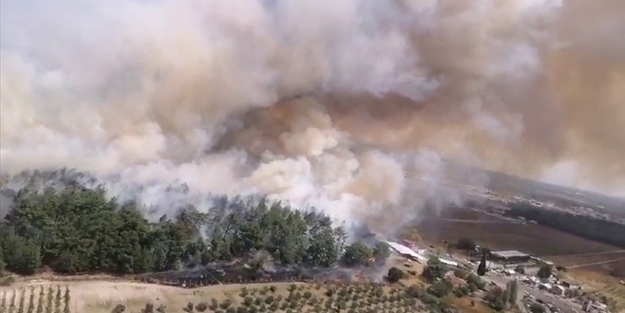 İzmir'de orman yangını!