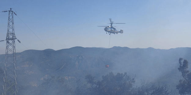 İzmir'de orman yangını