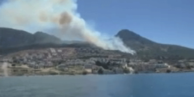 İzmir’de orman yangını