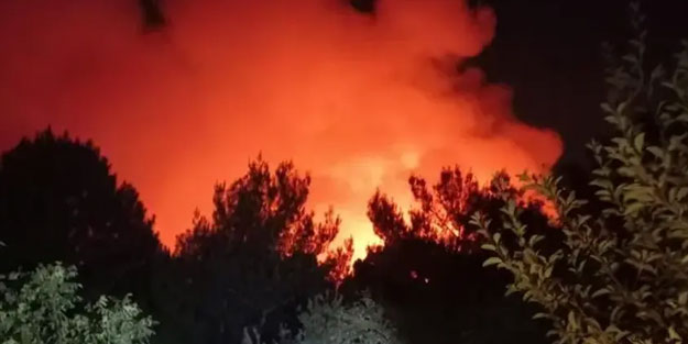 İzmir'de orman yangını