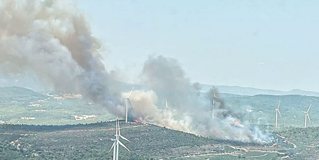 İzmir'de orman yangını