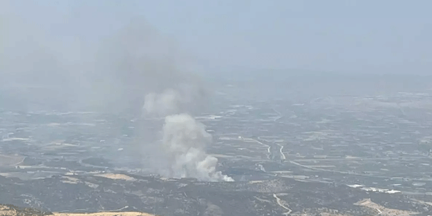 İzmir'de orman yangını