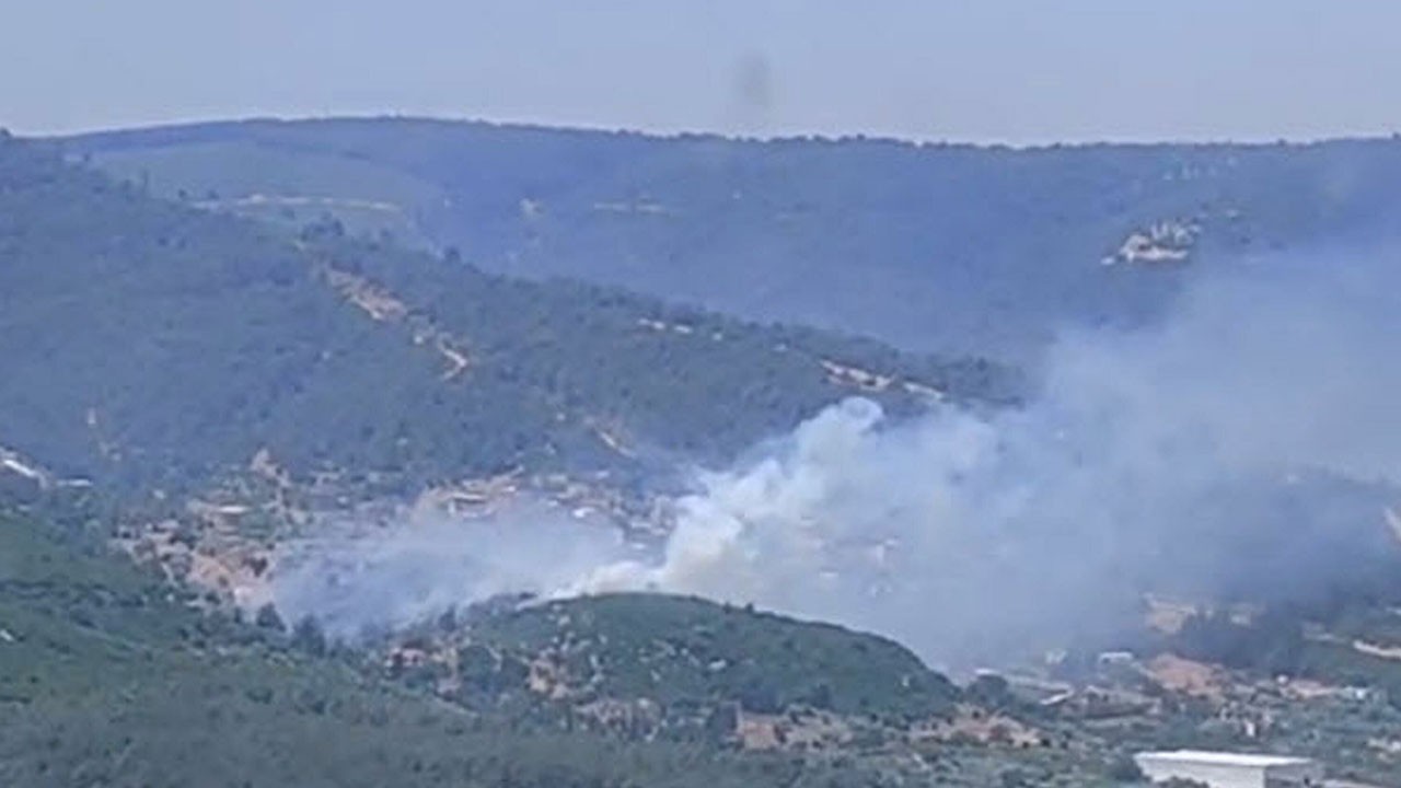 İzmir'de orman yangını