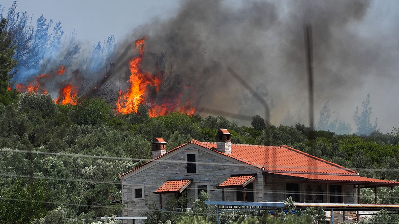 İzmir'de orman yangını