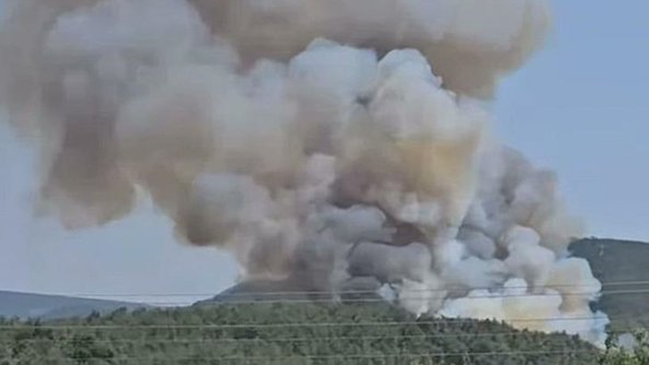 İzmir'de orman yangını!