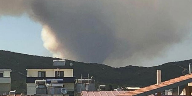 İzmir'de ormanlık alanda yangın! Ekipler müdahale ediyor