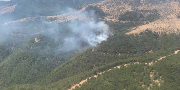 İzmir'de ormanlık alanda yangın çıktı!