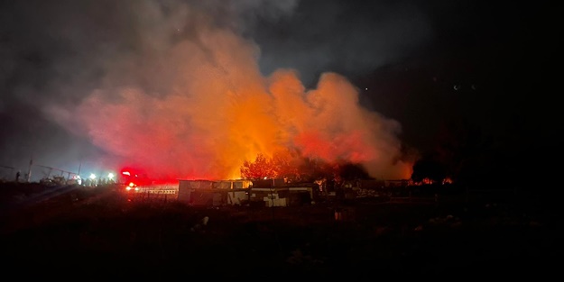 İzmir'de ormanlık alanda yangın