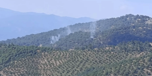 İzmir'de ormanlık alanda yangın