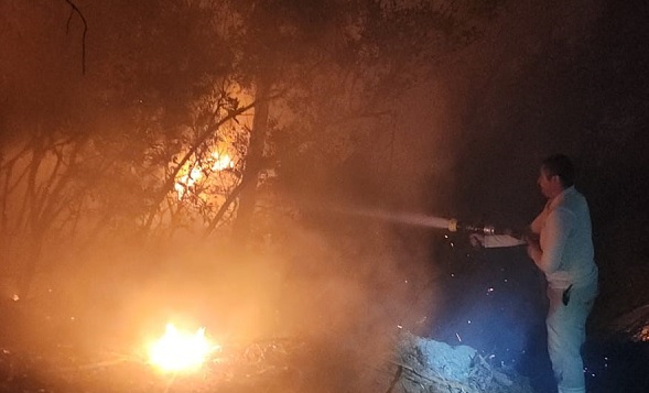 İzmir'de ormanlık alanda yangın