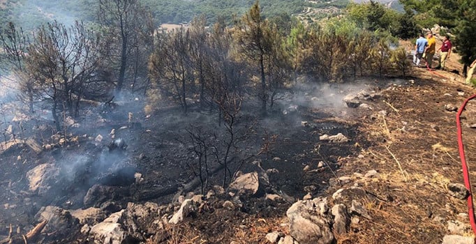 İzmir’de piknik yaparken ormanı yaktılar