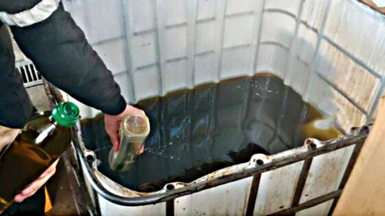 İzmir'de sahte zeytinyağı cezası: Bakın ne kadar para cezası yazıldı! Ortaya çıkan rakam